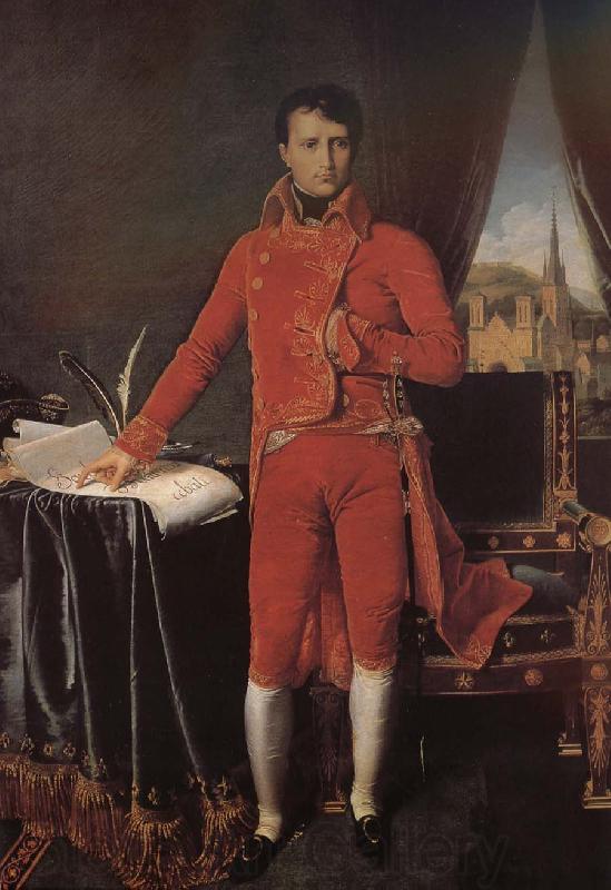 Jean-Auguste Dominique Ingres The first consul